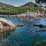 Image related to Boat Trips