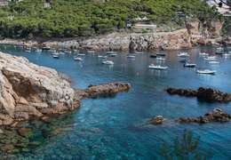 IgluCruise.Application.ViewModels.Shared.WebImageViewModel?.Description