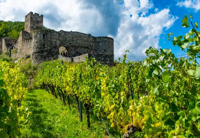 Ruine Hinterhaus