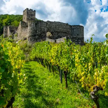 Image related to Ruine Hinterhaus