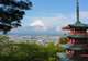 9-night Osaka, Kyoto, Hiroshima, and Tokyo tour with Snow Monkeys Experience