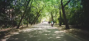 Image related to Vondelpark