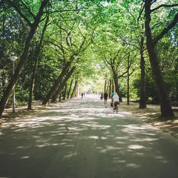 Image related to Vondelpark