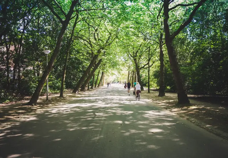 Image related to Vondelpark