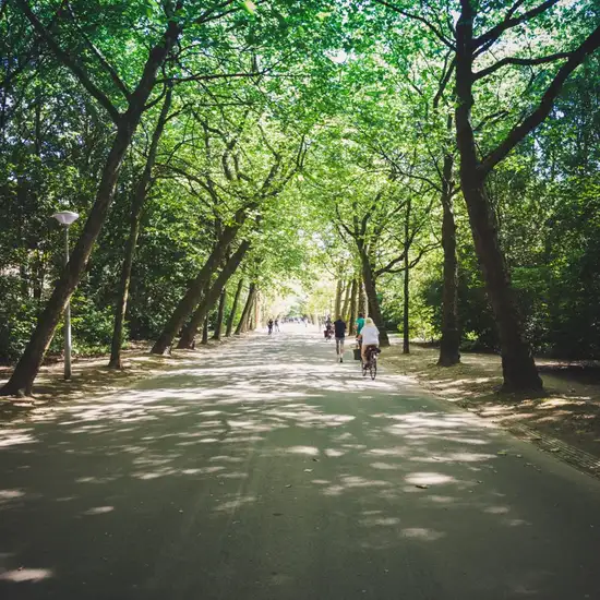 Image related to Vondelpark