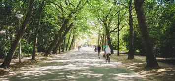 Image related to Vondelpark