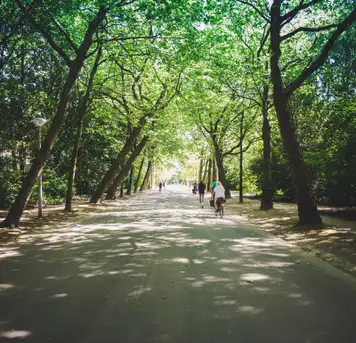 Image related to Vondelpark