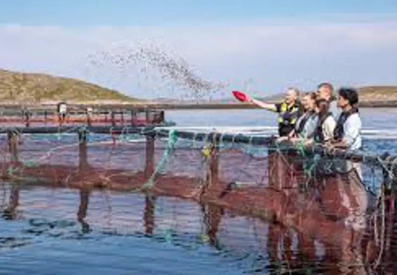 Salmon Center Rørvik