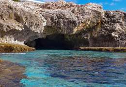 IgluCruise.Application.ViewModels.Shared.WebImageViewModel?.Description