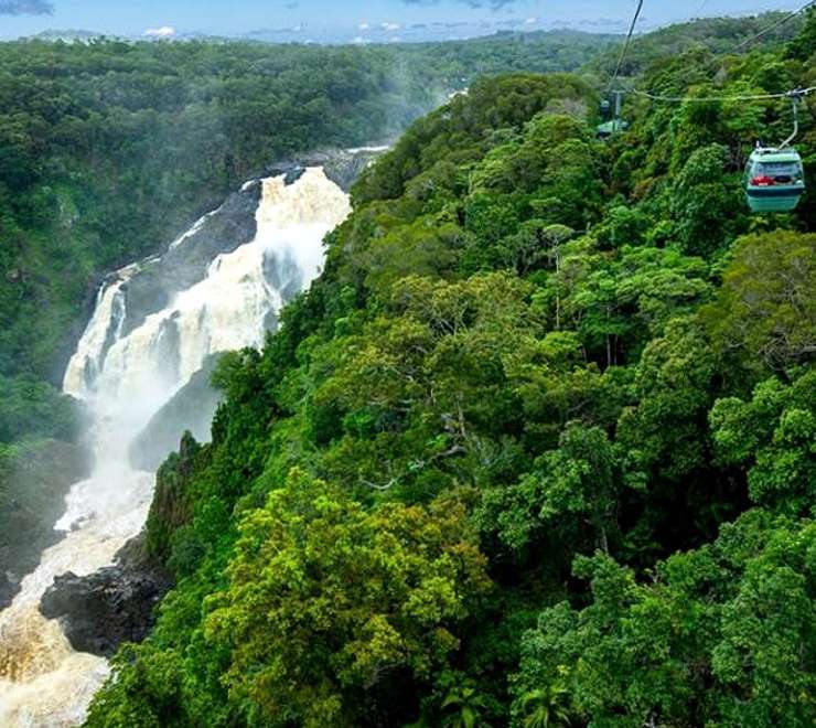 Skyrail Rainforest Cableway