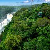 Image related to Skyrail Rainforest Cableway