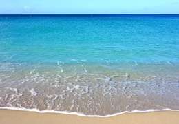 IgluCruise.Application.ViewModels.Shared.WebImageViewModel?.Description