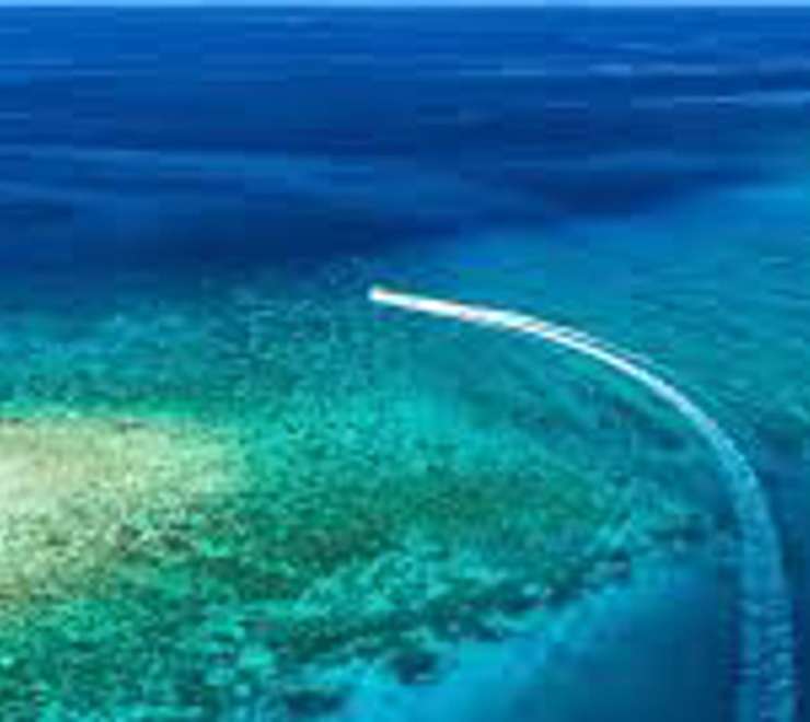 Glass-Bottom Boat Tours