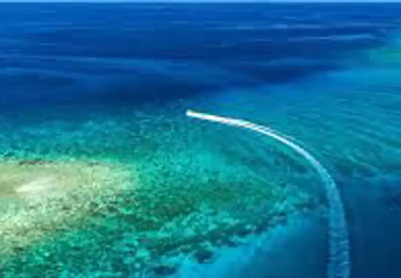 Glass-Bottom Boat Tours