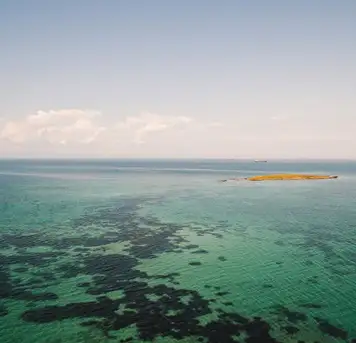 Image related to Willis Island