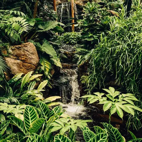 Image related to National Park