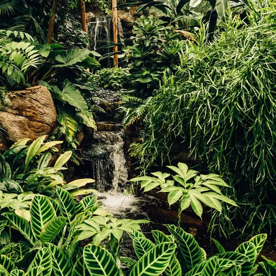 Image related to Image related to National Park