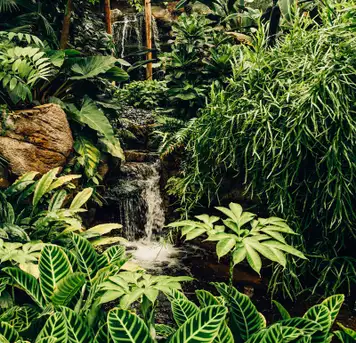 Image related to National Park