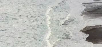 Image related to Mangle Point, Ferdandina