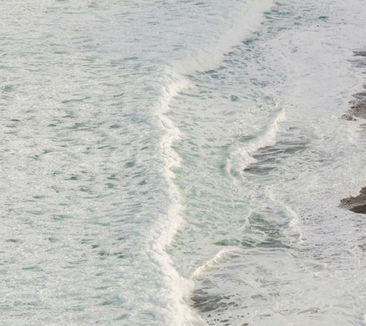 Mangle Point, Ferdandina