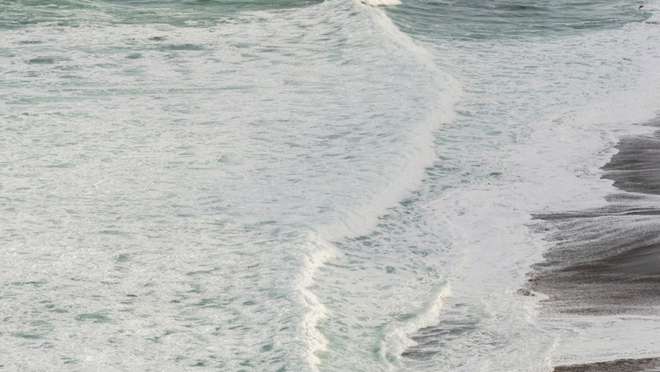 Mangle Point, Ferdandina