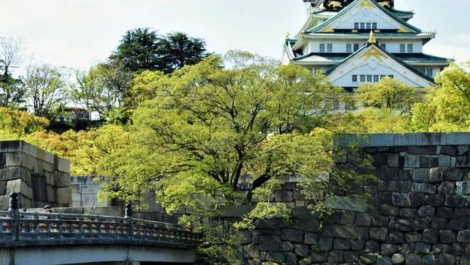 Full day tour of Osaka and Nara