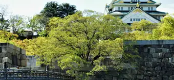Image related to Osaka - Full Day Osaka & Nara Tour