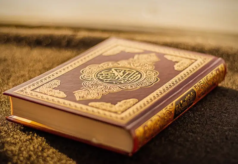 Image related to National Museum 