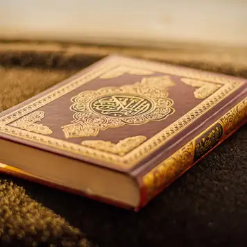 Image related to National Museum 