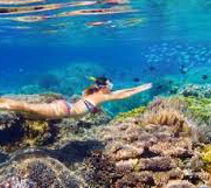 Snorkelling and Diving