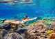 Snorkelling and Diving