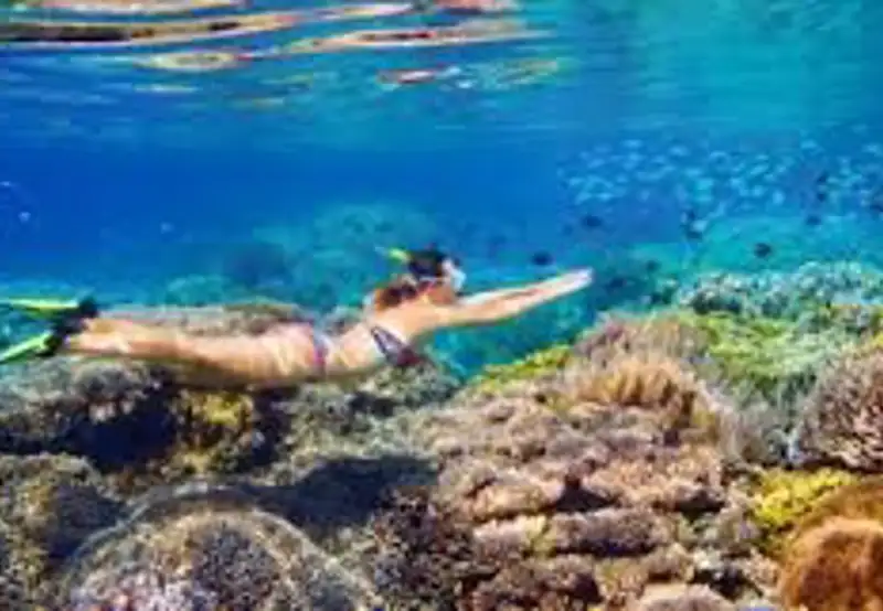 Snorkelling and Diving