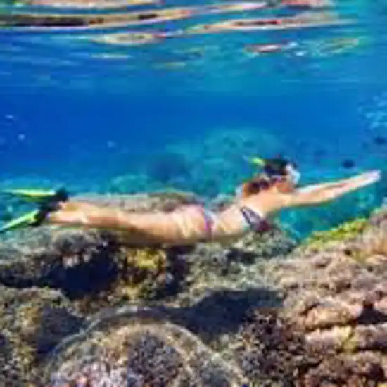 Image related to Snorkelling and Diving