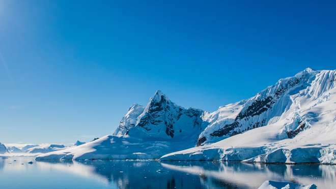 Antarctic Experience