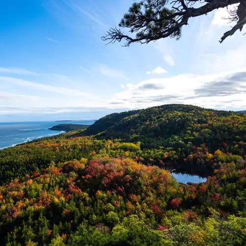 Image related to Abbe Museum