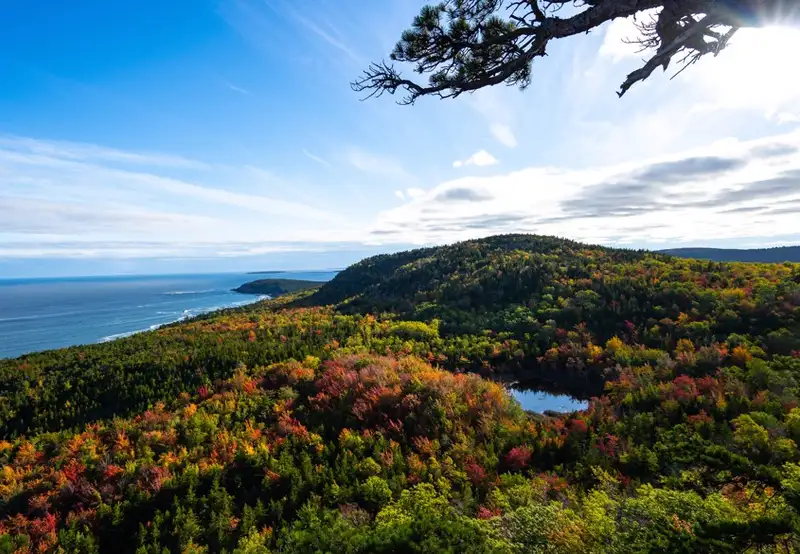 Image related to Abbe Museum