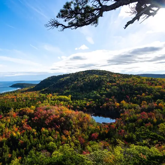 Image related to Image related to Abbe Museum