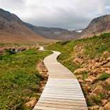Image related to Hike to Pointe de Gros Morne