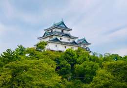 IgluCruise.Application.ViewModels.Shared.WebImageViewModel?.Description