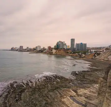 Image related to Manta