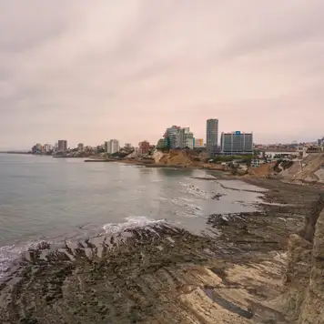 Image related to Manta