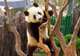 Dalian Forest Zoo
