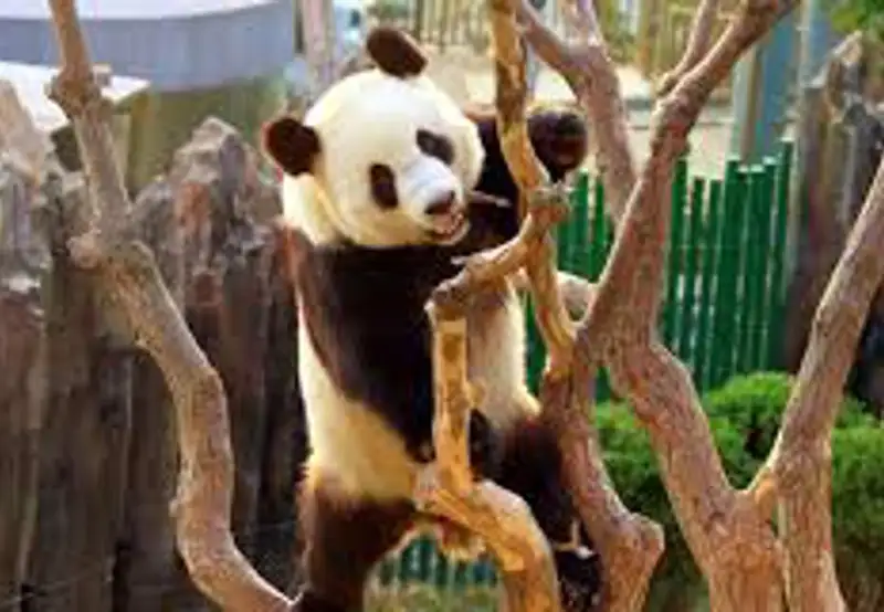 Dalian Forest Zoo
