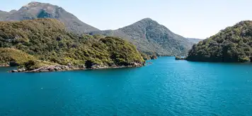 Image related to Dusky Sound