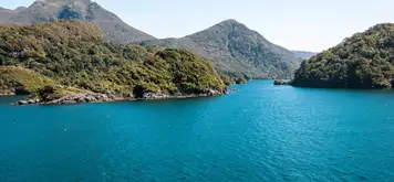 Image related to Dusky Sound (Scenic Cruising)