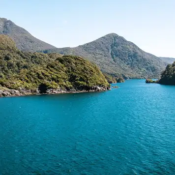 Image related to Dusky Sound (Scenic Cruising)