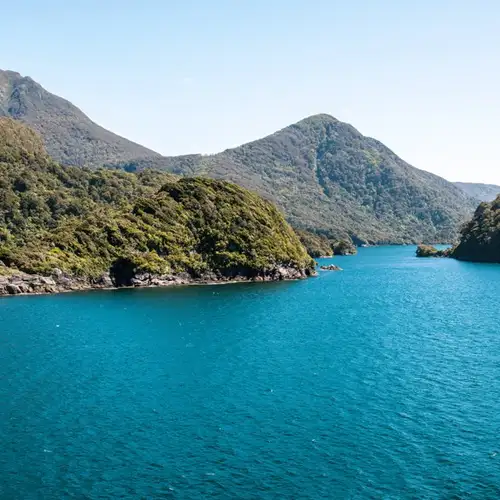 Image related to Dusky Sound