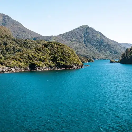 Image related to Dusky Sound (Scenic Cruising)