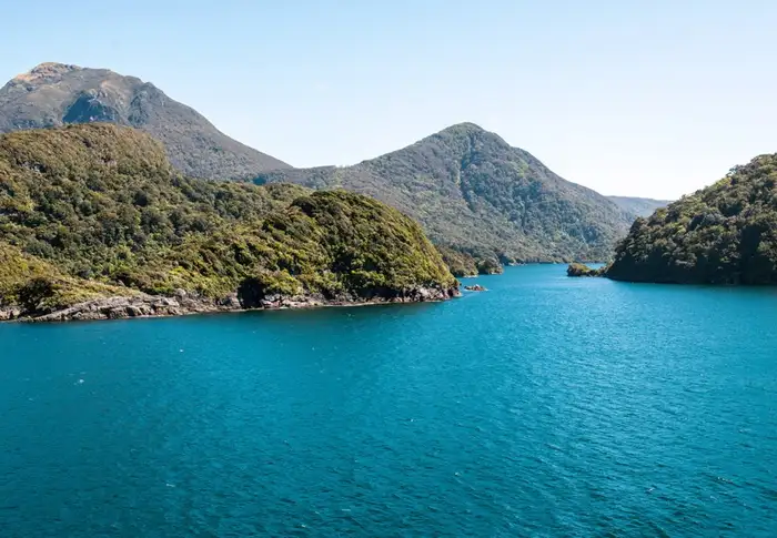 Photo of Day 12: Dusky Sound