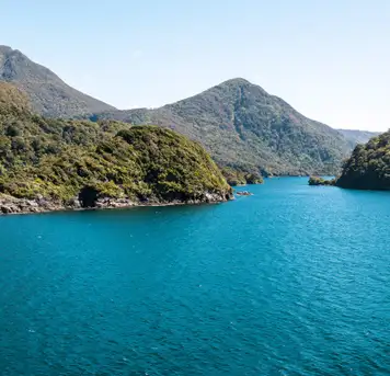 Image related to Dusky Sound (Scenic Cruising)